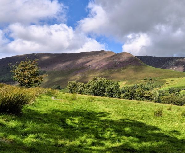 across the Newlands Valley towards Knott Rigg and Ard Crags